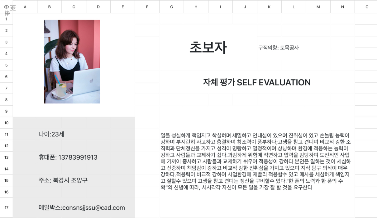 토목공사 이력서